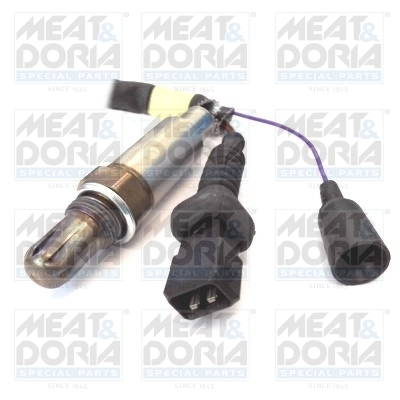 Oxygen Sensor